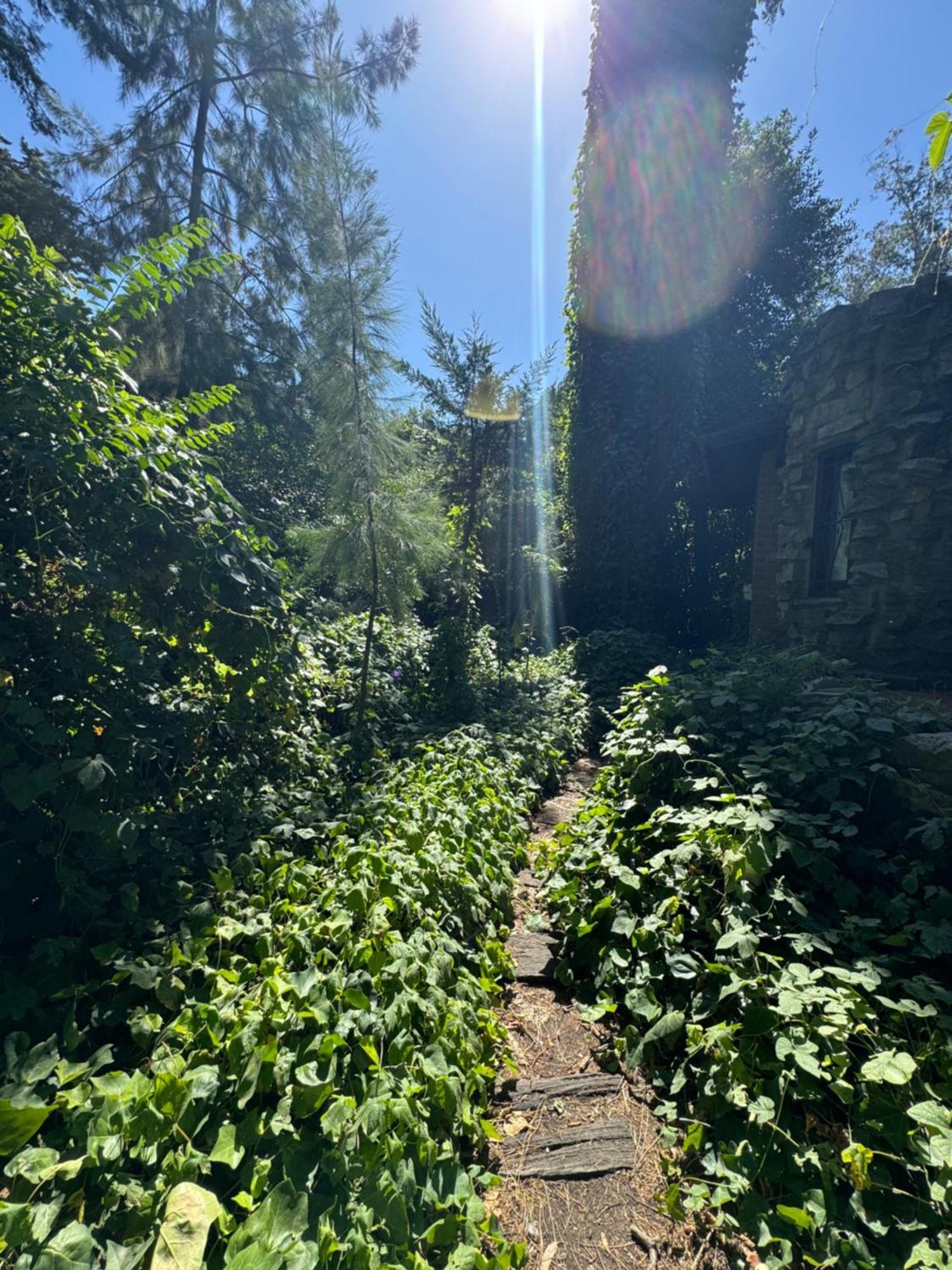 Arehue Lodge
